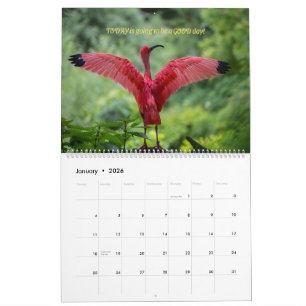 Calendrier des oiseaux 2026 - Avec des versets de