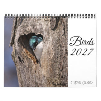 Calendrier des oiseaux 2027