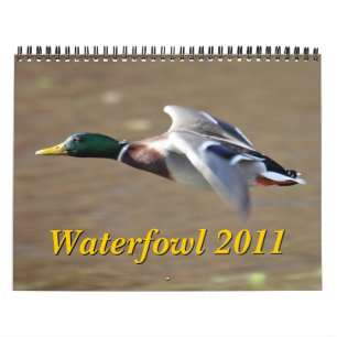 Calendrier des oiseaux aquatiques 2011