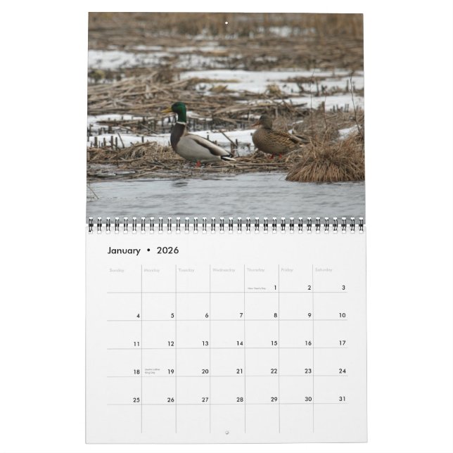 Calendrier des oiseaux aquatiques 2011 (Jan 2026)