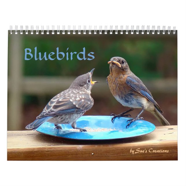 Calendrier des oiseaux bleus (Protection)
