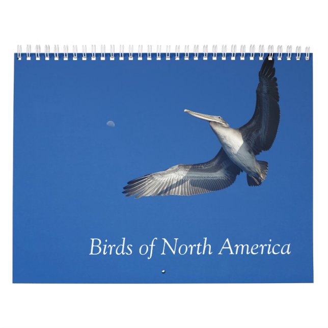 Calendrier des oiseaux d'Amérique du Nord (Protection)