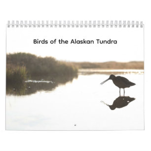 Calendrier des oiseaux de la toundra alaskienne
