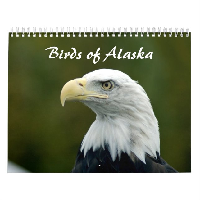 Calendrier des oiseaux de l'Alaska (Protection)