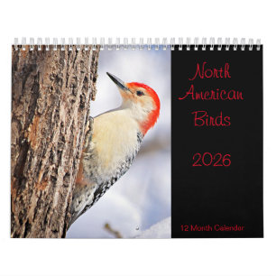 Calendrier des oiseaux de l'Amérique du Nord 2026