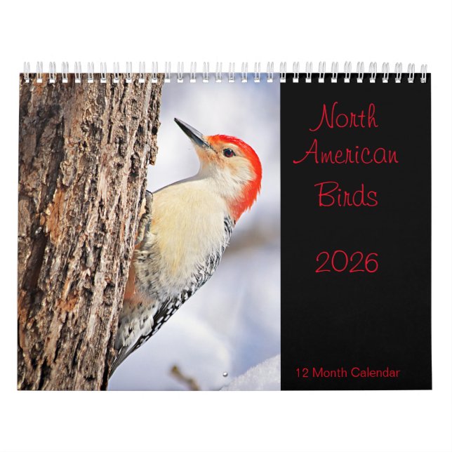 Calendrier des oiseaux de l'Amérique du Nord 2026 (Protection)