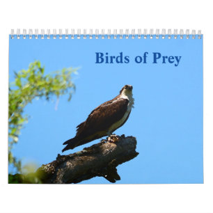 Calendrier des oiseaux de proie