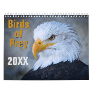 Calendrier des oiseaux de proie