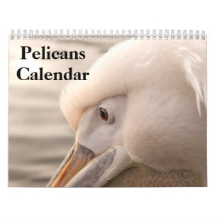 Calendrier des oiseaux des Pélicans 2025