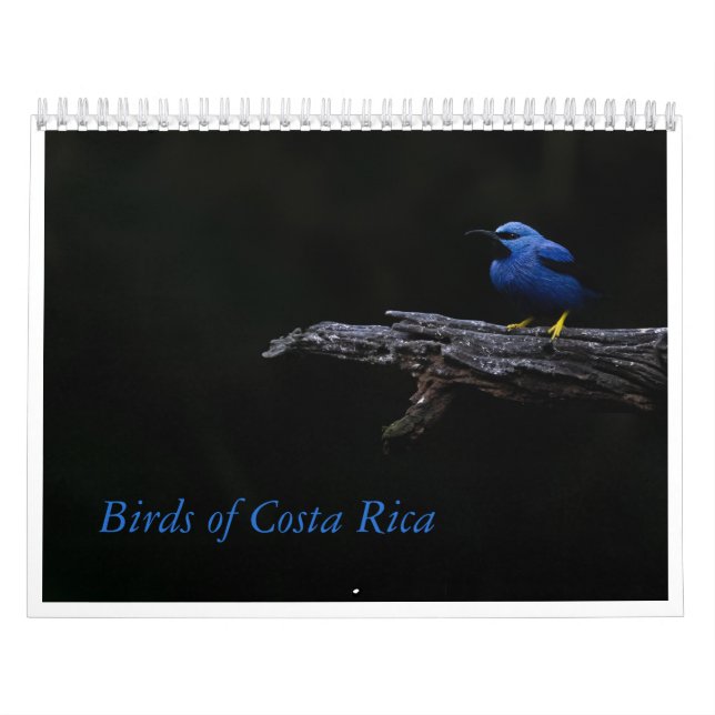 Calendrier des oiseaux du Costa Rica (Protection)
