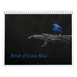 Calendrier des oiseaux du Costa Rica