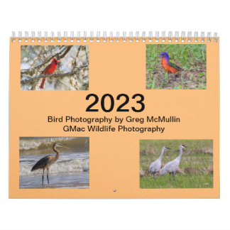 Calendrier des oiseaux du Texas 2023