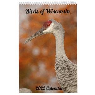 Calendrier des oiseaux du Wisconsin 2022