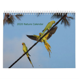 Calendrier des oiseaux et des fleurs 2020