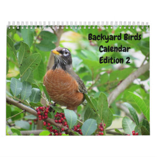 Calendrier des oiseaux jardins - Édition 2