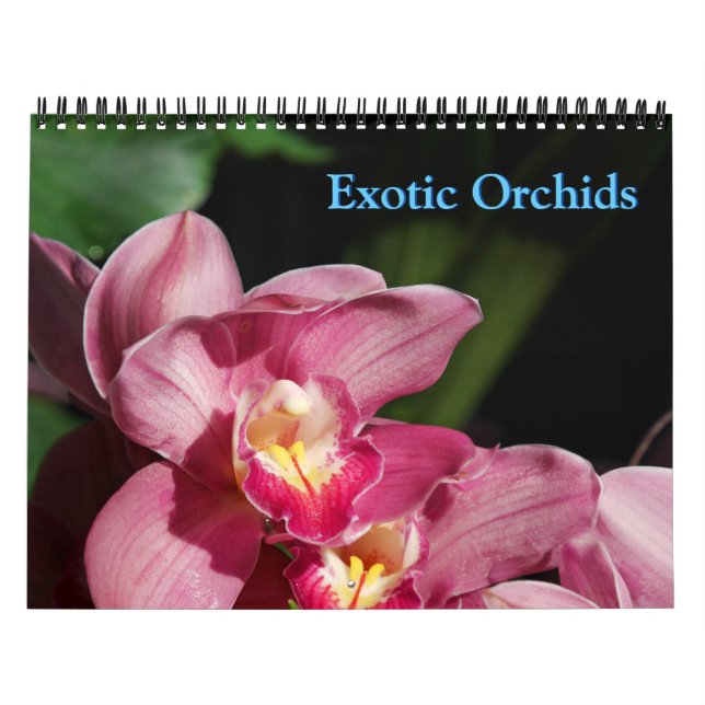 Calendrier des orchidées (Protection)