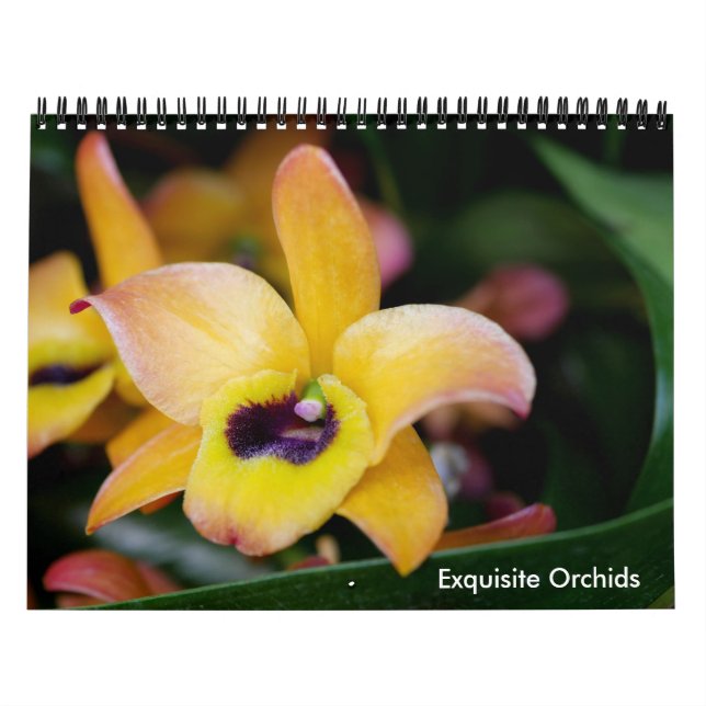 Calendrier des orchidées (Protection)