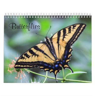 Calendrier des papillons