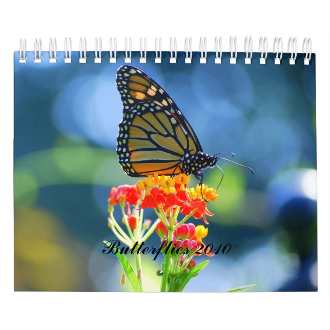 Calendrier des papillons 2010 (Protection)