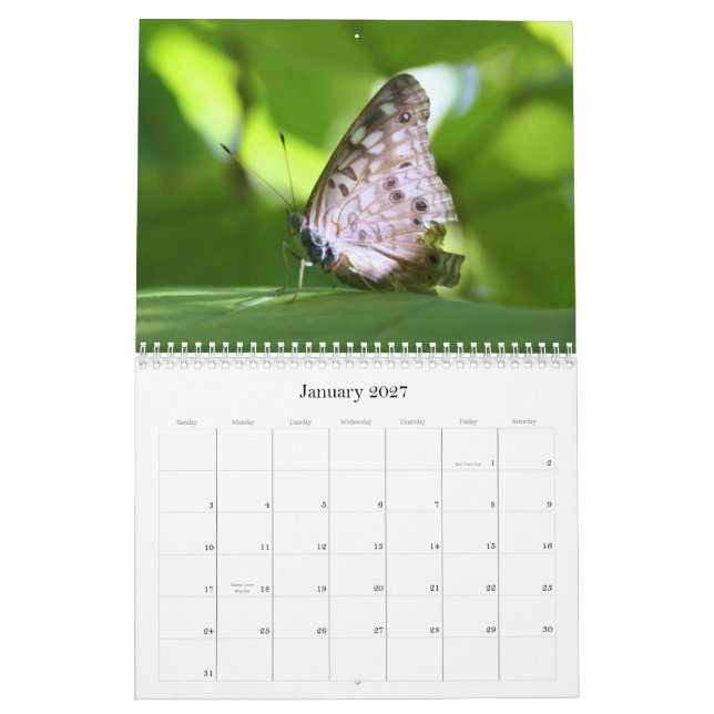 Calendrier des papillons 2011 (Jan 2027)