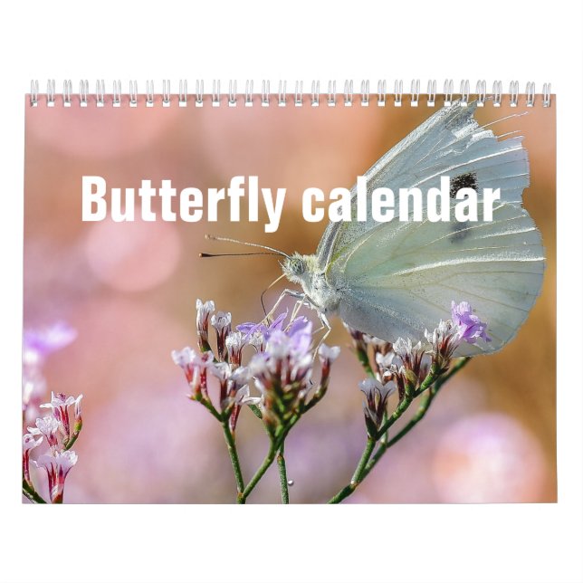 Calendrier des papillons 2025 (Protection)