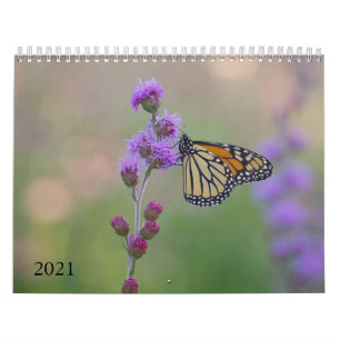 Calendrier des papillons Monarques