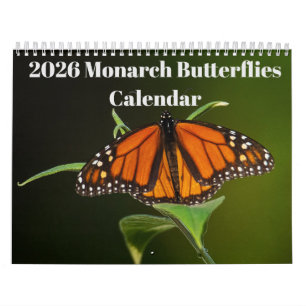Calendrier des papillons Monarques 2025