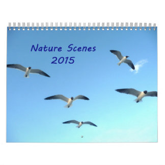 Calendrier des paysages naturels 2015
