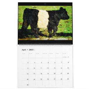 Calendrier des peintures à l'aquarelle de bovins d