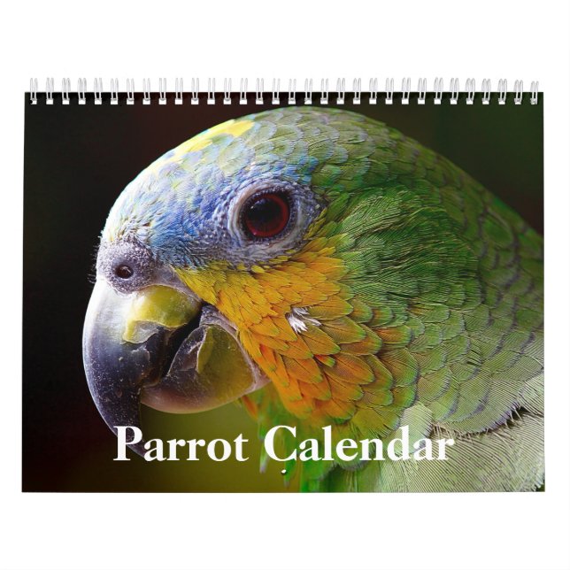 Calendrier des perroquets 2025 (Protection)