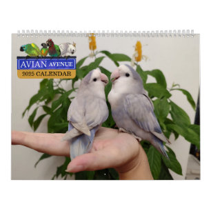 Calendrier des perroquets de l'avenue Avian 2025