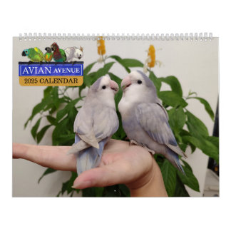 Calendrier des perroquets de l'avenue Avian 2025