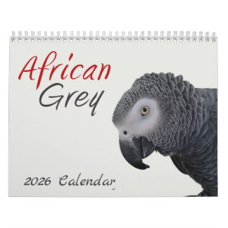 Calendrier des perroquets gris africains 2026