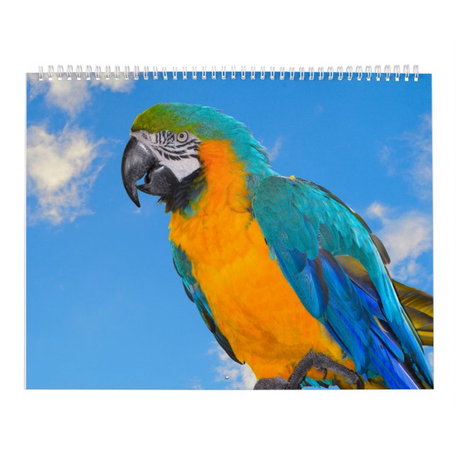Calendrier des perroquets mixtes (Protection)