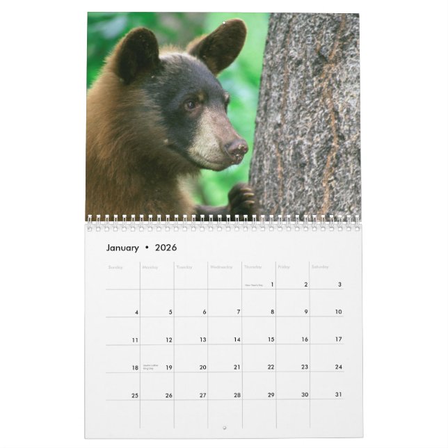 Calendrier des photos de la faune des parcs nation (Jan 2026)