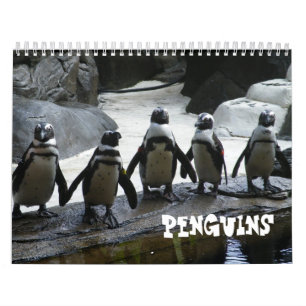 Calendrier des pingouins