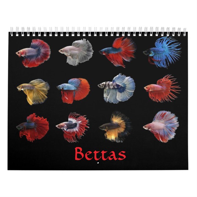 Calendrier des poissons bêta (Protection)