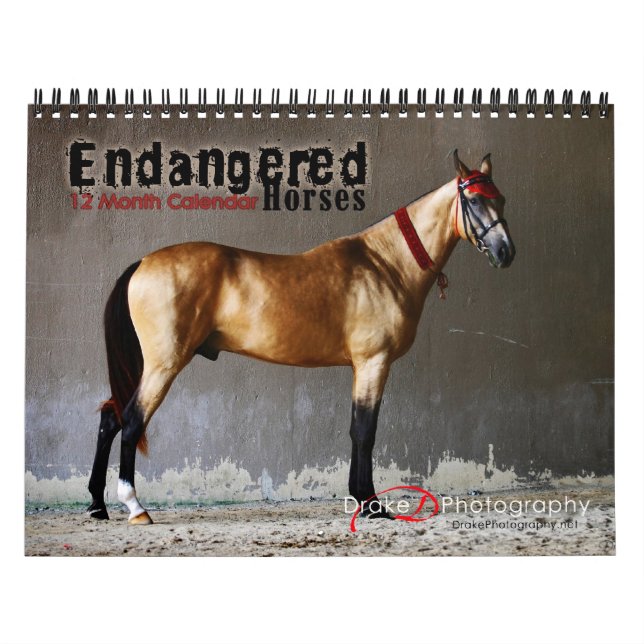 Calendrier des races de chevaux en voie de dispari (Protection)