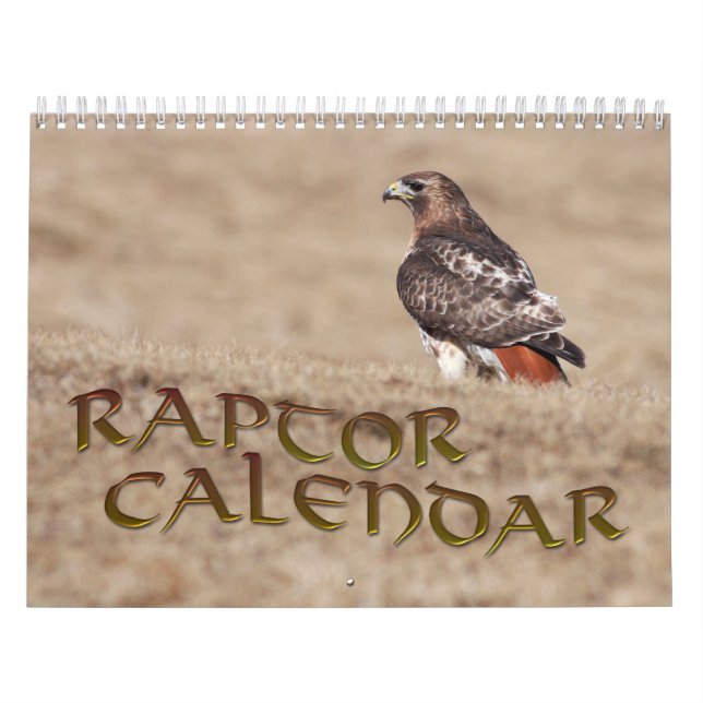 Calendrier des rapaces (Protection)