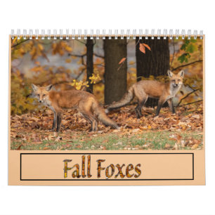 Calendrier des renards d'automne