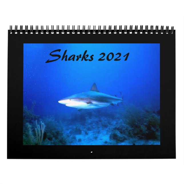 Calendrier des requins 2021 (Protection)