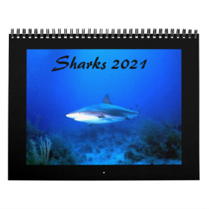 Calendrier des requins 2021