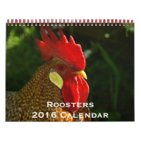 Calendrier des Roosters 2016