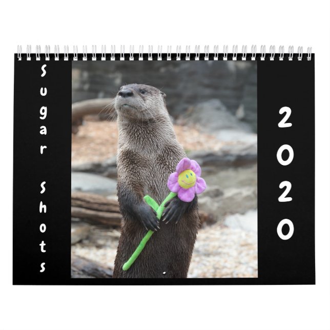 Calendrier des séries 2020 sur le sucre (Protection)