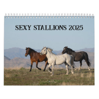 Calendrier des Stallions Sexy 2025