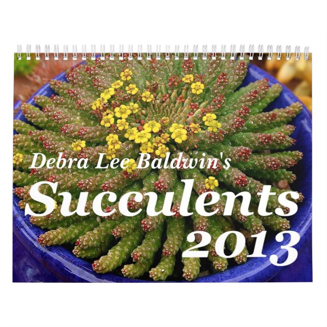 Calendrier des Succulents 2013 de Debra Lee Baldwi (Protection)