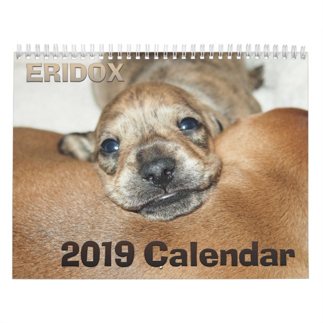 Calendrier des teckels 2019 d'Eridox (Protection)