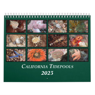 Calendrier des Tidepools de Californie