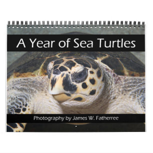 Calendrier des tortues de mer