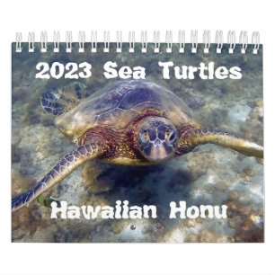 Calendrier des tortues de mer vertes de Honu Hawaï